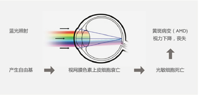 明基RP805S 詳情04-675.jpg
